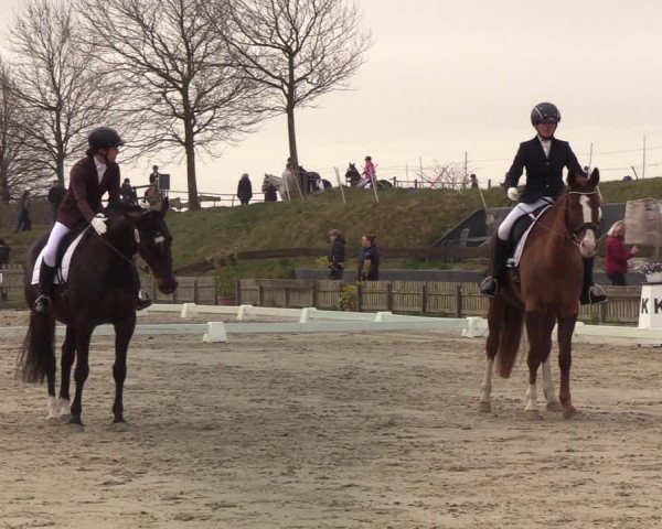 Reitturnier Schülp / Rendsburg 2022