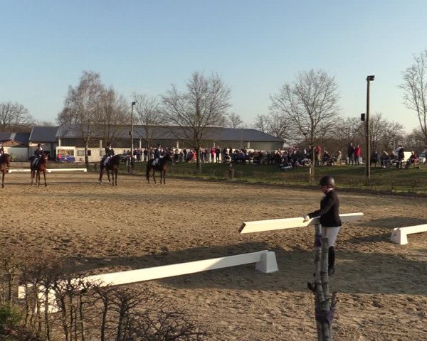 Reitturnier Olfen-Vinnum 2022