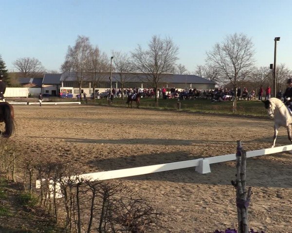 Reitturnier Olfen-Vinnum 2022