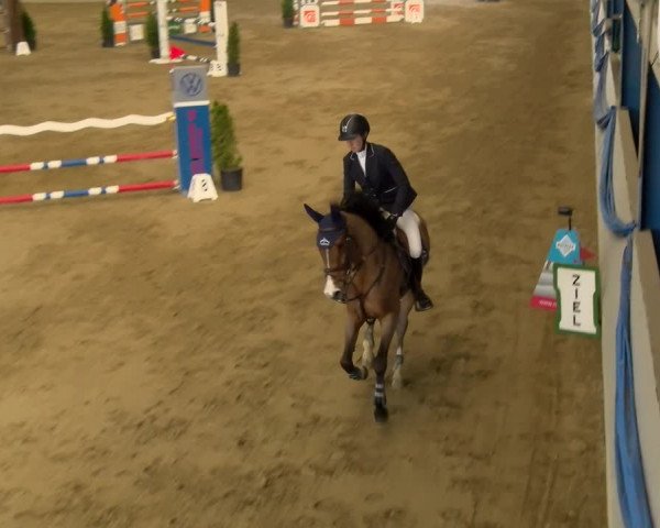 Reitturnier Buchs 2022