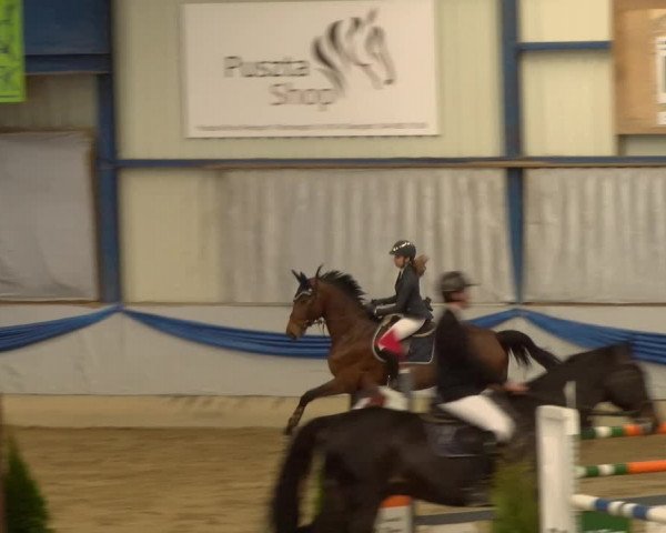 Reitturnier Buchs 2022