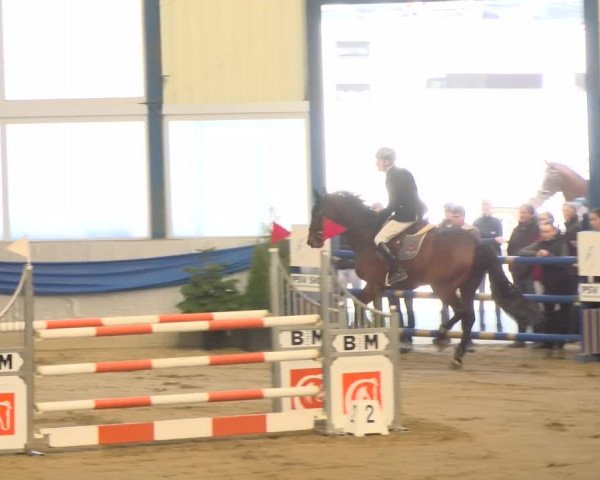 Reitturnier Buchs 2022