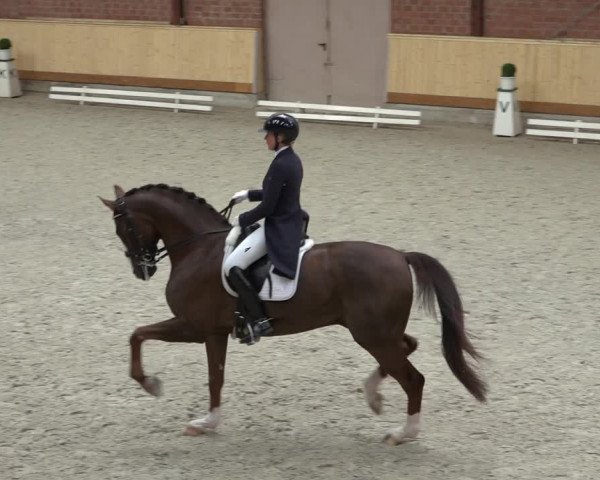 Reitturnier Hamburg-Friedrichshulde/Sylva Kuhrt 2022