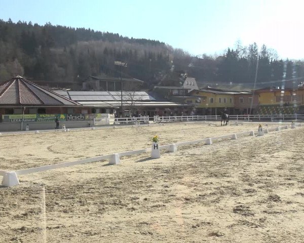 Reitturnier K, St. Margarethen-Stückler 2022