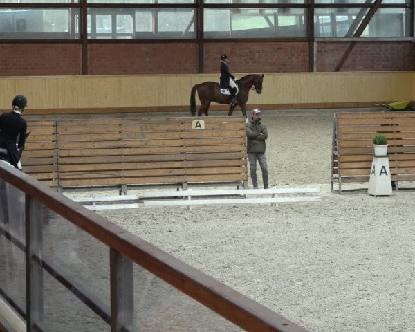 Reitturnier Hamburg-Friedrichshulde/Sylva Kuhrt 2022