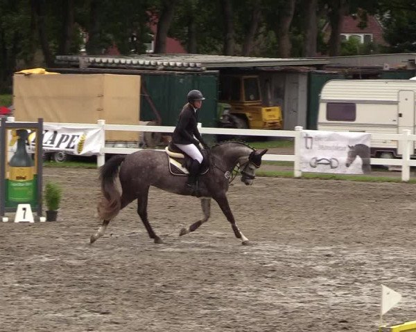 Springturnier Mildstedt 2021