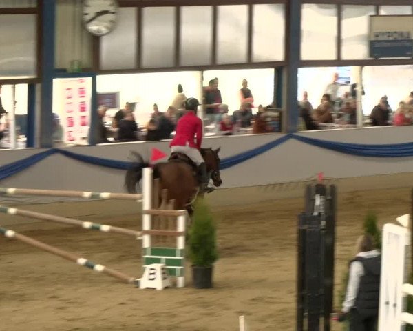 Reitturnier Buchs 2022