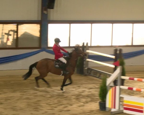 Reitturnier Buchs 2022