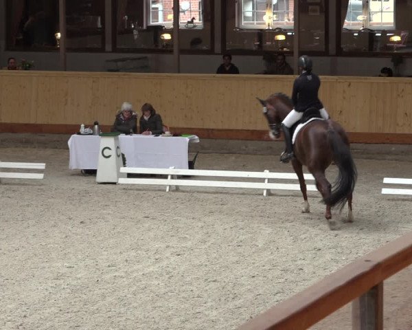 Reitturnier Hamburg-Friedrichshulde/Sylva Kuhrt 2022