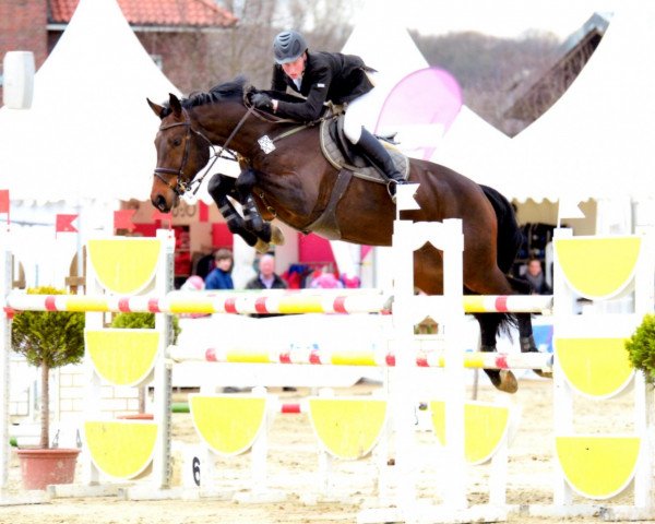 jumper Collino (Westphalian, 2006, from Collin L)