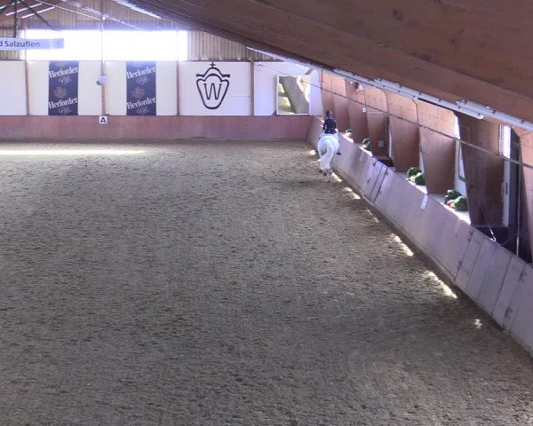 Reitturnier Bad Salzuflen 2022