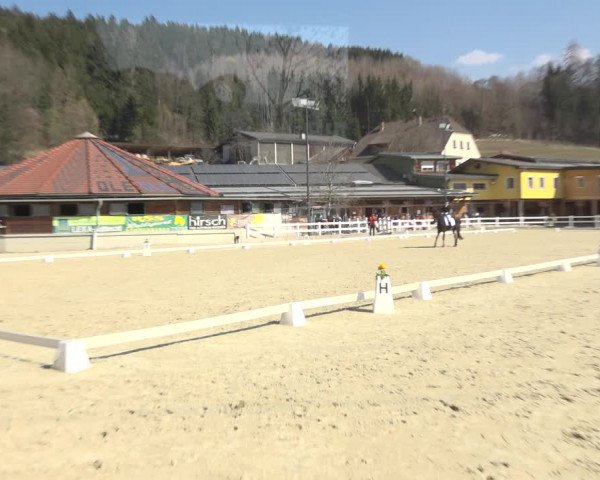 Reitturnier K, St. Margarethen-Stückler 2022