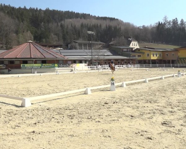 Reitturnier K, St. Margarethen-Stückler 2022