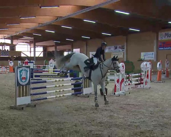 Reitturnier Grafenrheinfeld/Ufr. 2022