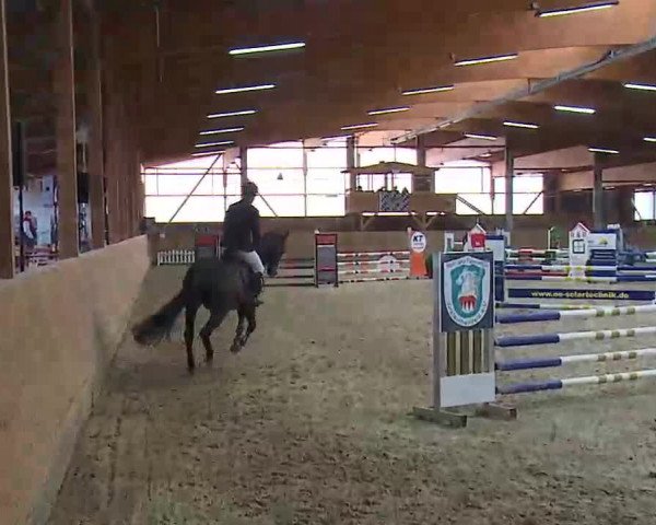 Reitturnier Grafenrheinfeld/Ufr. 2022