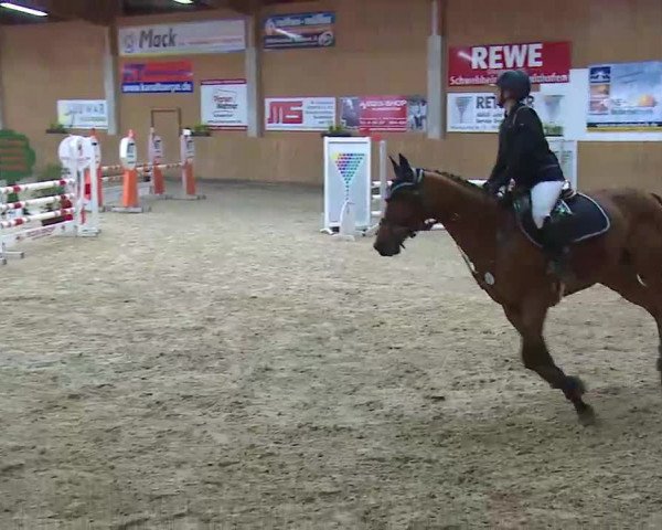 Reitturnier Grafenrheinfeld/Ufr. 2022