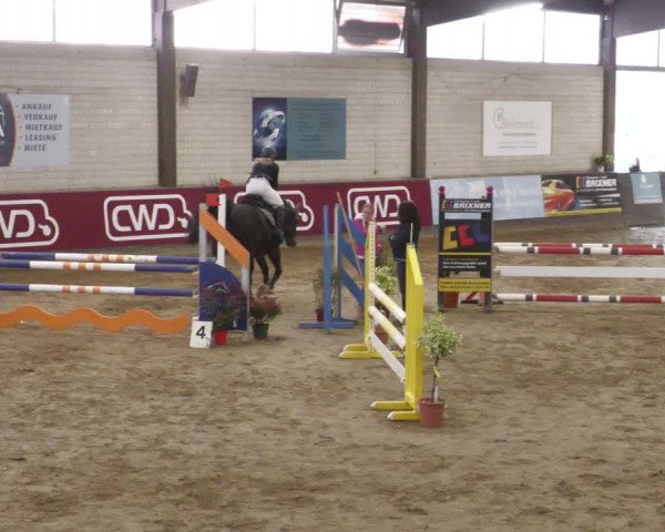 Reitturnier Heilbronn 2022