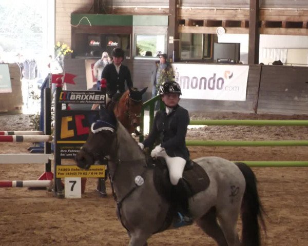 Reitturnier Heilbronn 2022
