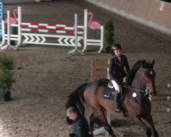 Reitturnier Köngen 2022