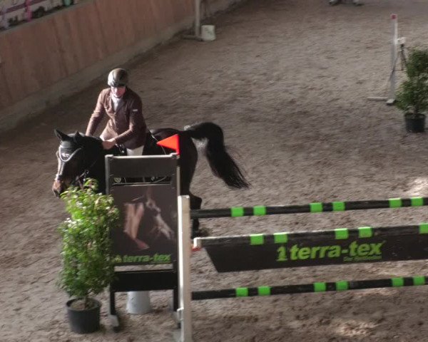 Reitturnier Köngen 2022