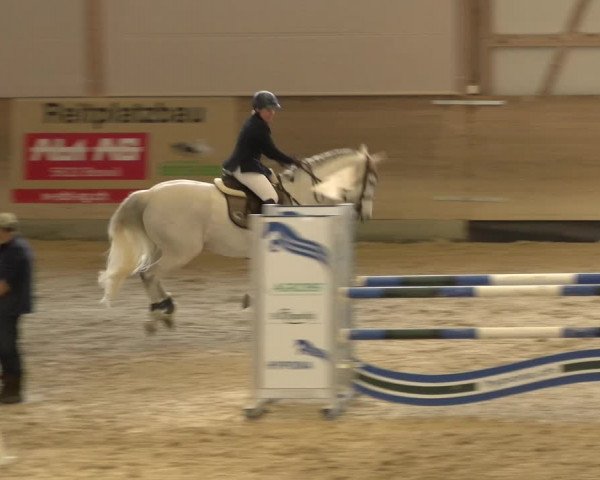 Reitturnier Schaffhausen 2022