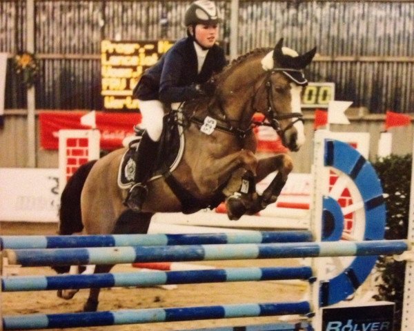 Springpferd Lancelot 321 (Deutsches Reitpony, 1997, von Lucky Strike)