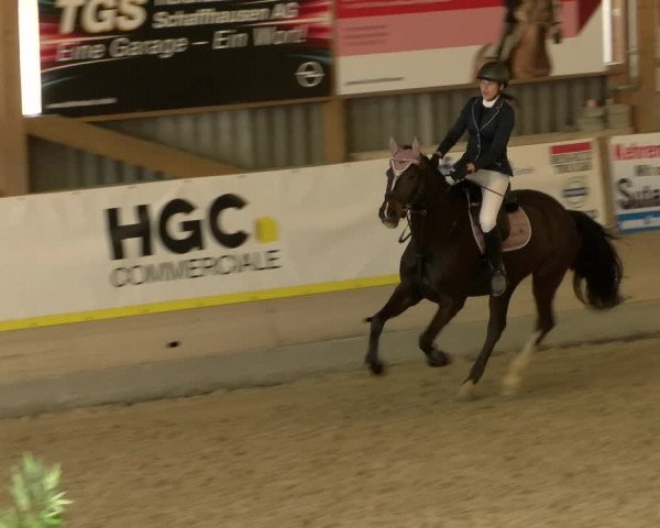 Reitturnier Schaffhausen 2022