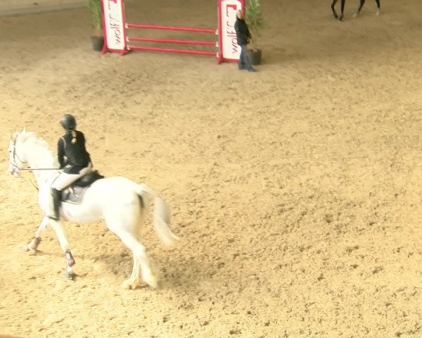Reitturnier Schaffhausen 2022