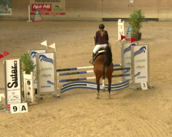 Reitturnier Schaffhausen 2022