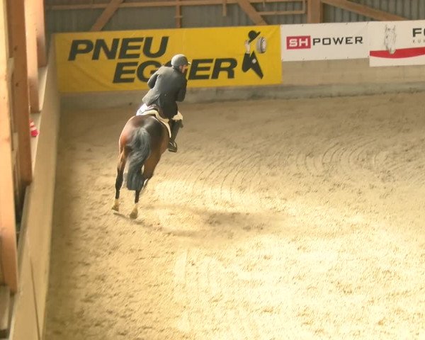 Reitturnier Schaffhausen 2022