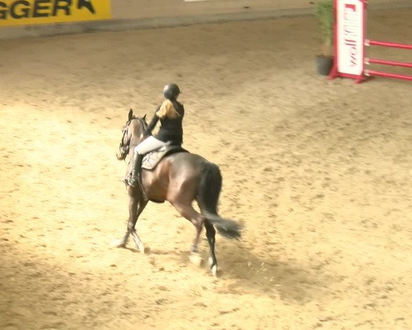 Reitturnier Schaffhausen 2022