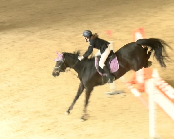 Reitturnier Schaffhausen 2022