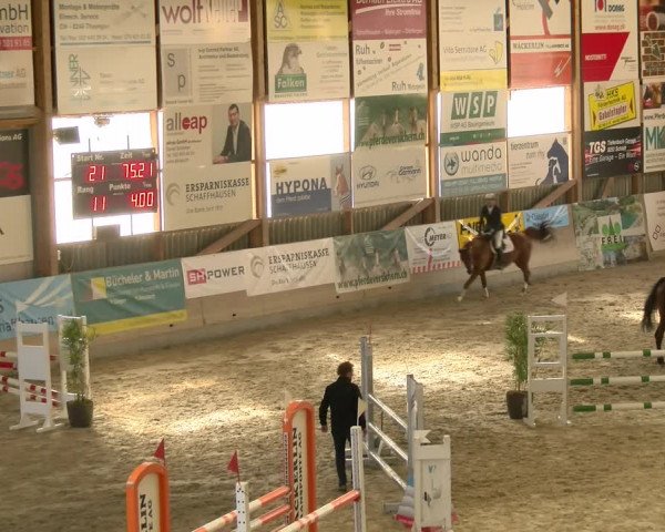Reitturnier Schaffhausen 2022