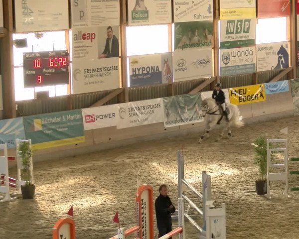 Reitturnier Schaffhausen 2022