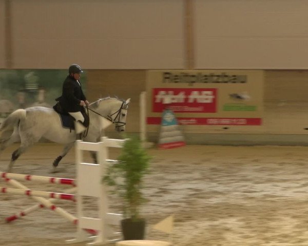 Reitturnier Schaffhausen 2022