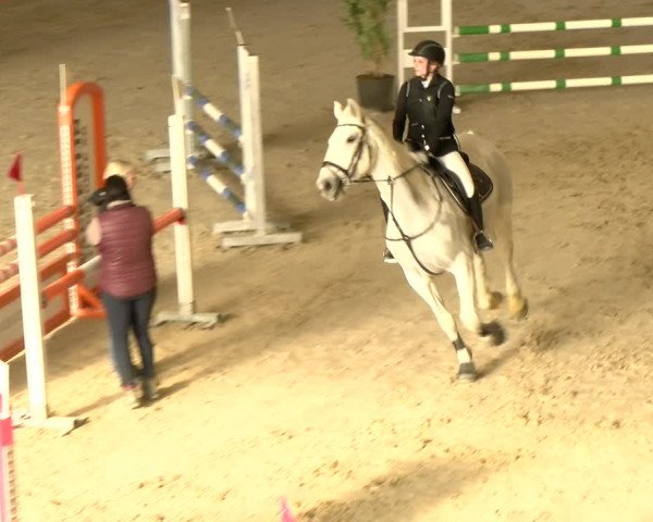 Reitturnier Schaffhausen 2022
