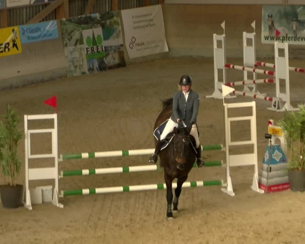 Reitturnier Schaffhausen 2022
