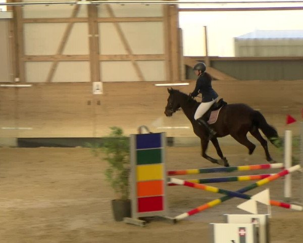 Reitturnier Schaffhausen 2022