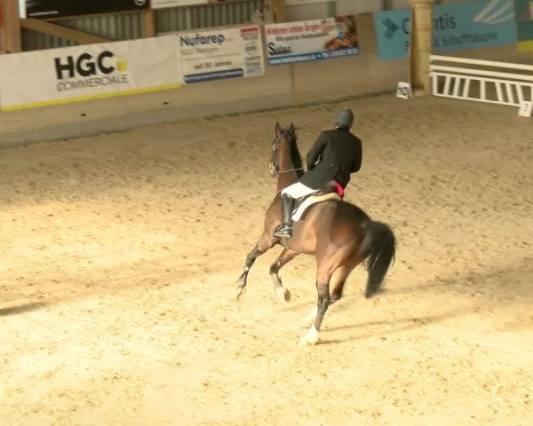 Reitturnier Schaffhausen 2022