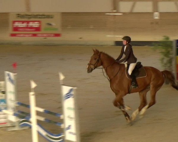 Reitturnier Schaffhausen 2022