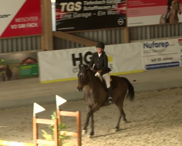 Reitturnier Schaffhausen 2022