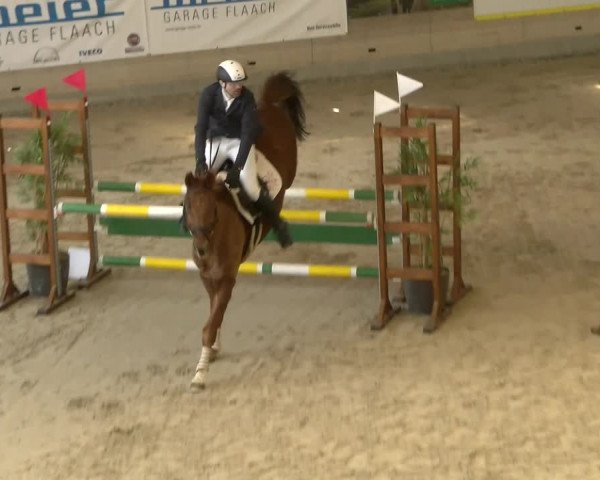Reitturnier Schaffhausen 2022