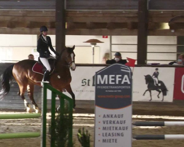 Reitturnier Heilbronn 2022