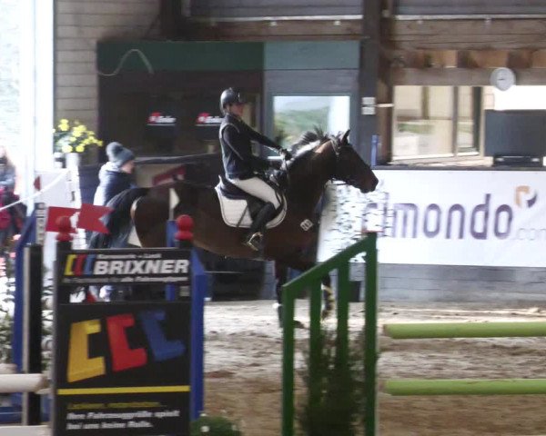 Reitturnier Heilbronn 2022