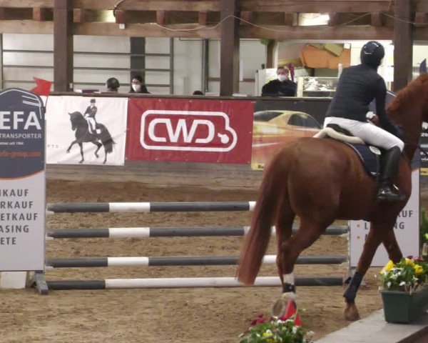 Reitturnier Heilbronn 2022