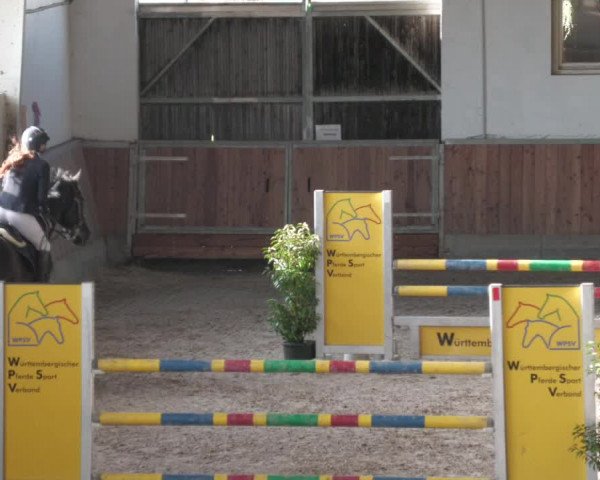 Reitturnier Köngen 2022
