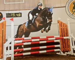 jumper Skywalker (German Sport Horse, 2011, from Skyman)