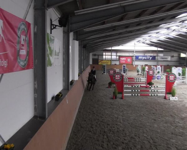 Reitturnier Schlieckau 2022