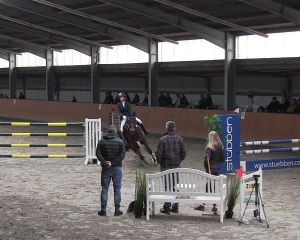 Reitturnier Schlieckau 2022