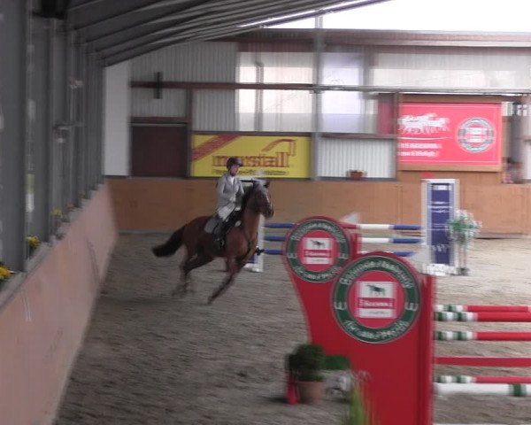 Reitturnier Schlieckau 2022